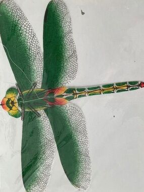 Artisan hand painted kite, a vintage piece done by professional purchased 16 ago